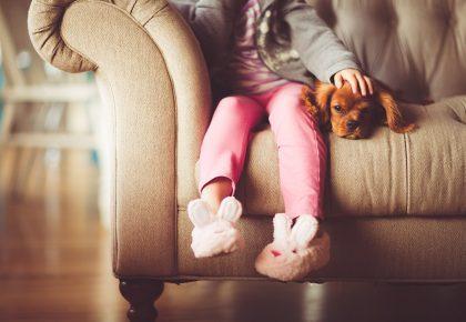spokojny rudy piesek z dzieckiem na kanapie